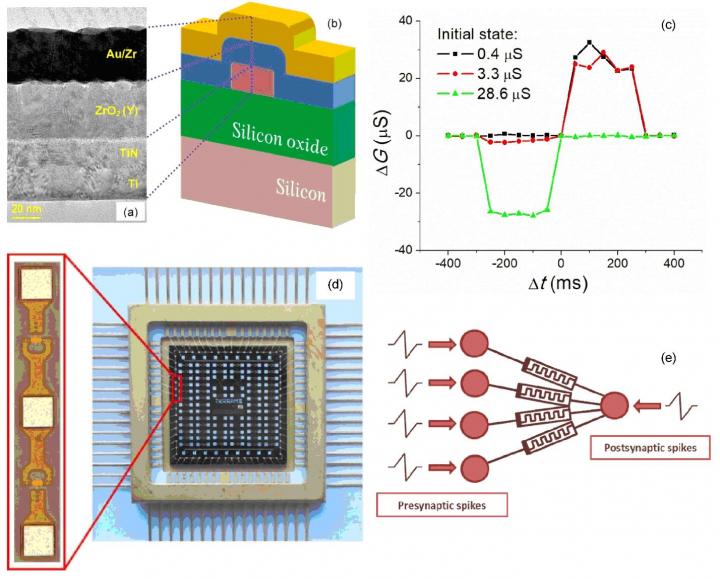 Cross-Section Image of the Metal-Oxide-Metal Memristive Structure