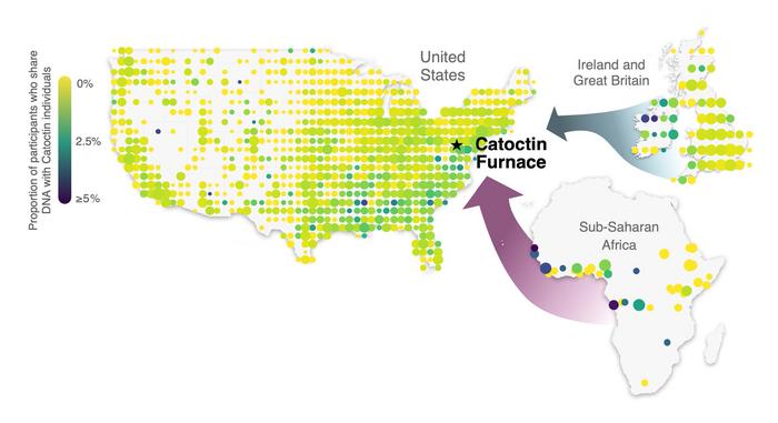 Catoctin Furnace participant relatedness