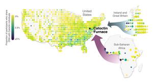 Catoctin Furnace participant relatedness