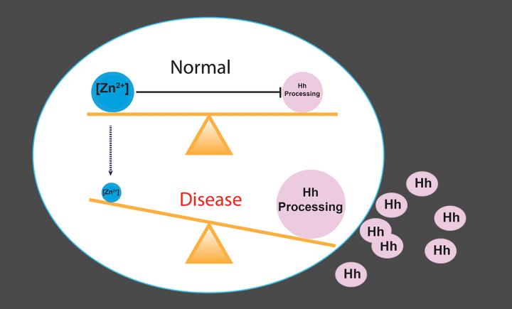 Hypothesis Illustration