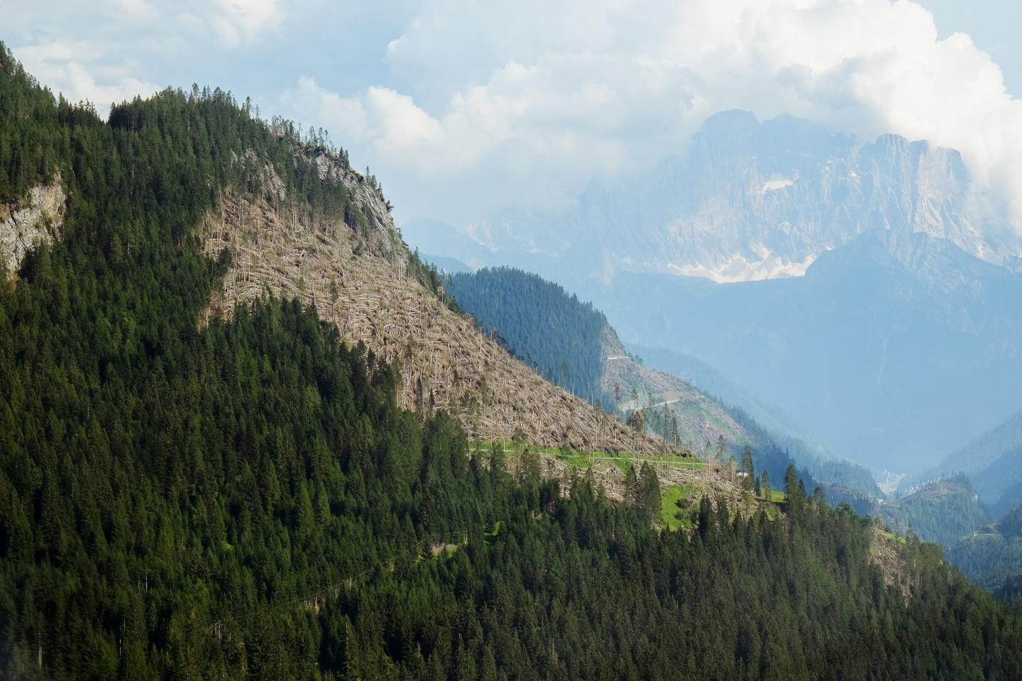 Windwurf in den Dolomiten im Jahr 2018.