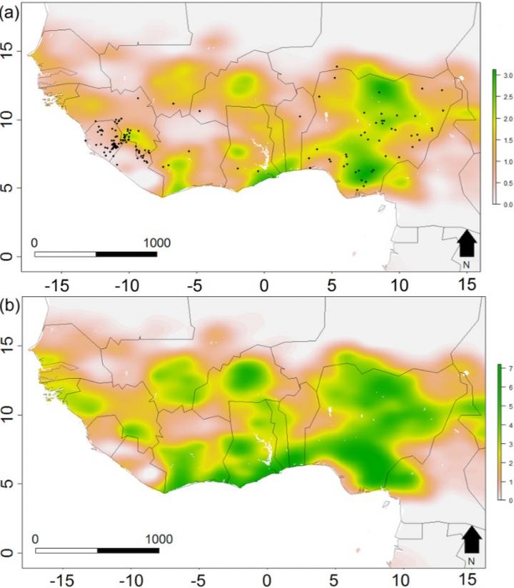 Spatial Distribution of Simulated Las Spill-Over Events