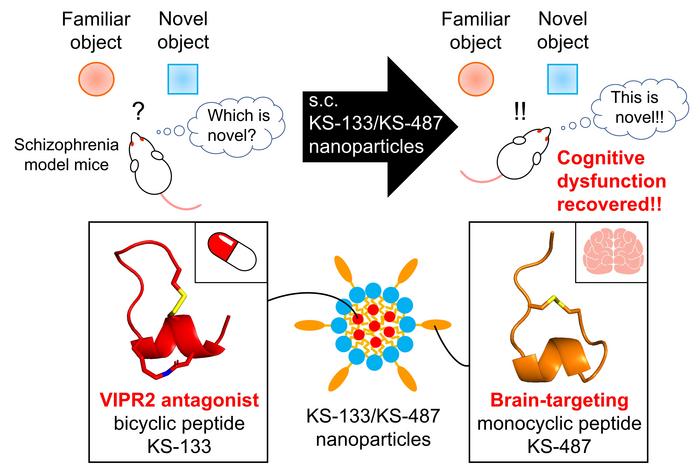 Schematic of tailored and multi-functionalized nanoparticles to treat schizophrenia