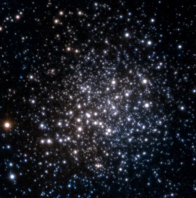 The Star Cluster Terzan 5