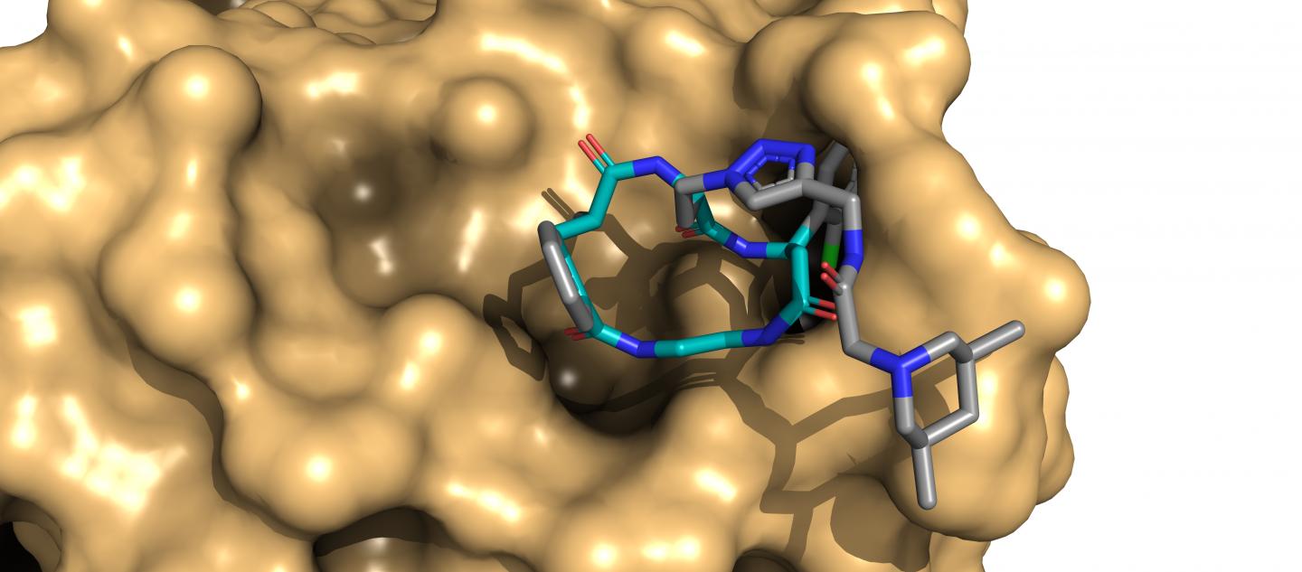 New Libraries for Drug discovery