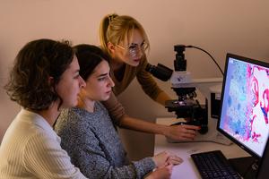 Members of the Malda lab studying cartilage
