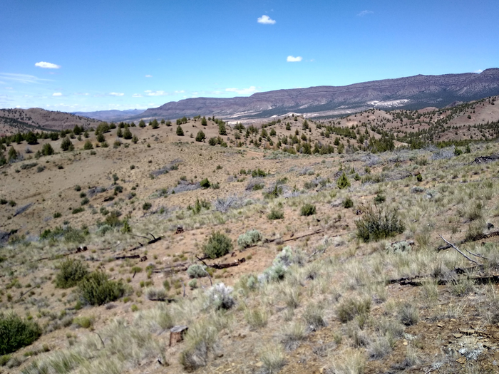 Sagebrush steppe landscape
