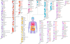 KAIST leads AI-based analysis on drug-drug in | EurekAlert!