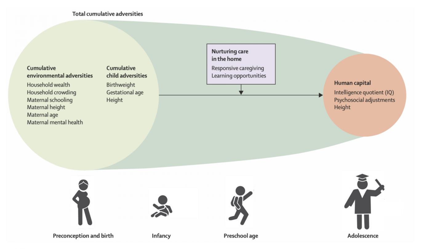 Model of Association Between Adversities, IQ Scores and Nurturing