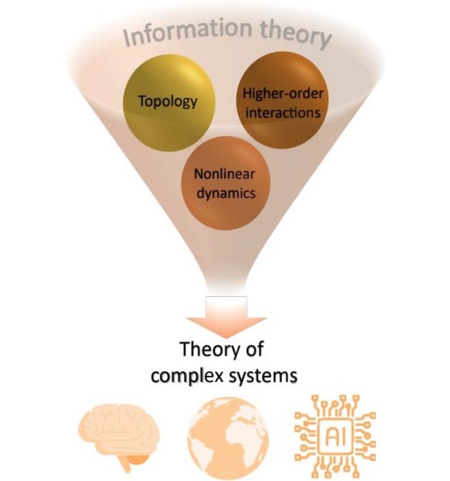 Higher-order topological dynamics  combines higher-order interactions, topology and non-linear dynamics giving rise to new emergent phenomena. These phenomena encode information which can dramatically transform our understanding of complex systems.