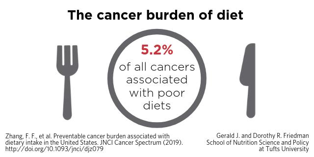 5.2 Percent of All Cancer Cases Were Associated with Poor Diets, According to a New Study