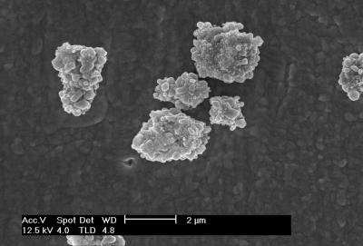 SEM Image, Metallic Silver and Silver Chloride Compound
