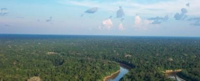 Study Reinforces the Amazon Forest's Importance in Regulating Atmospheric Chemistry