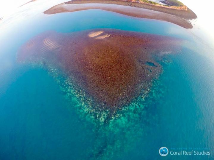 Eagle Eye View of Inshore Bleaching