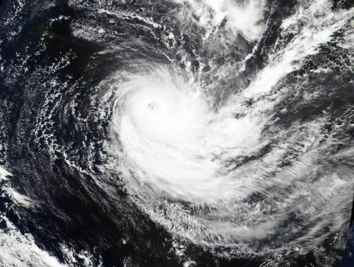 Terra Image of Joaninha