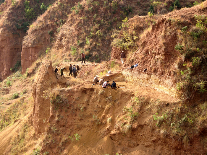 Excavation at Leilao