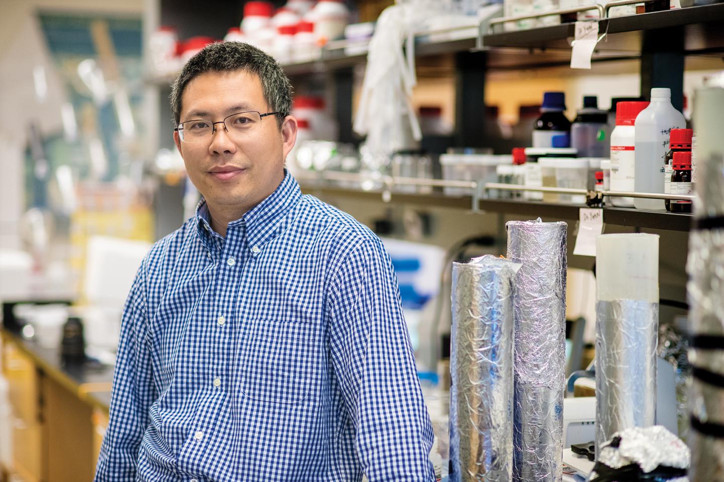 Yi Hong, University of Texas at Arlington