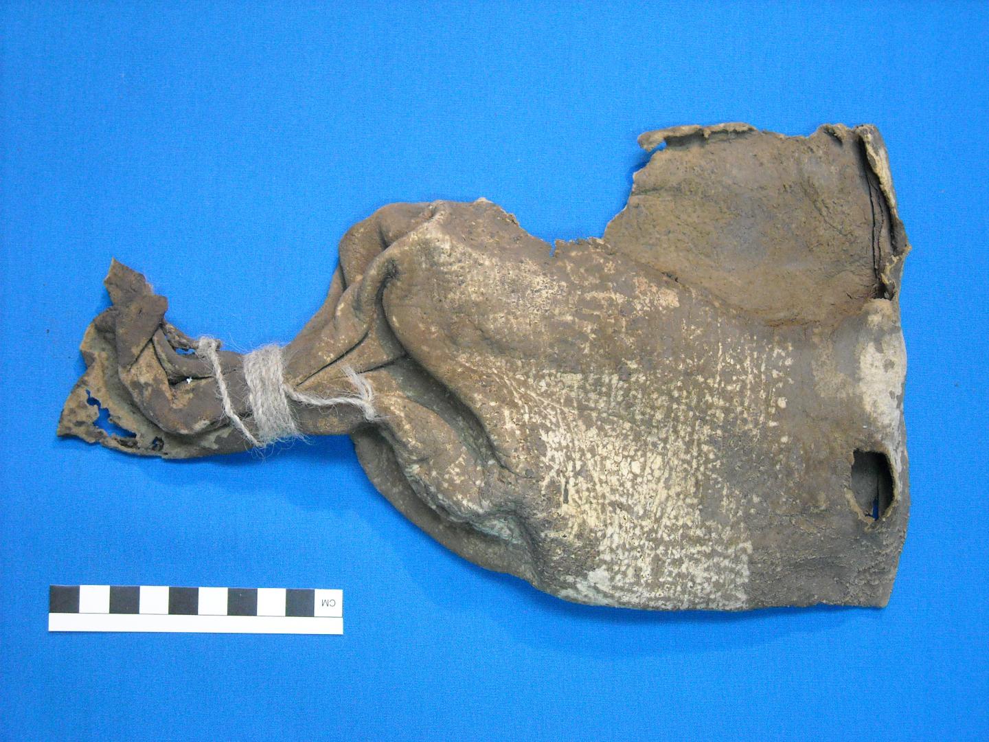 Anterior of the Smaller Carved Snuffing Tablet Showing the Front of the Anthropomorphic Figures