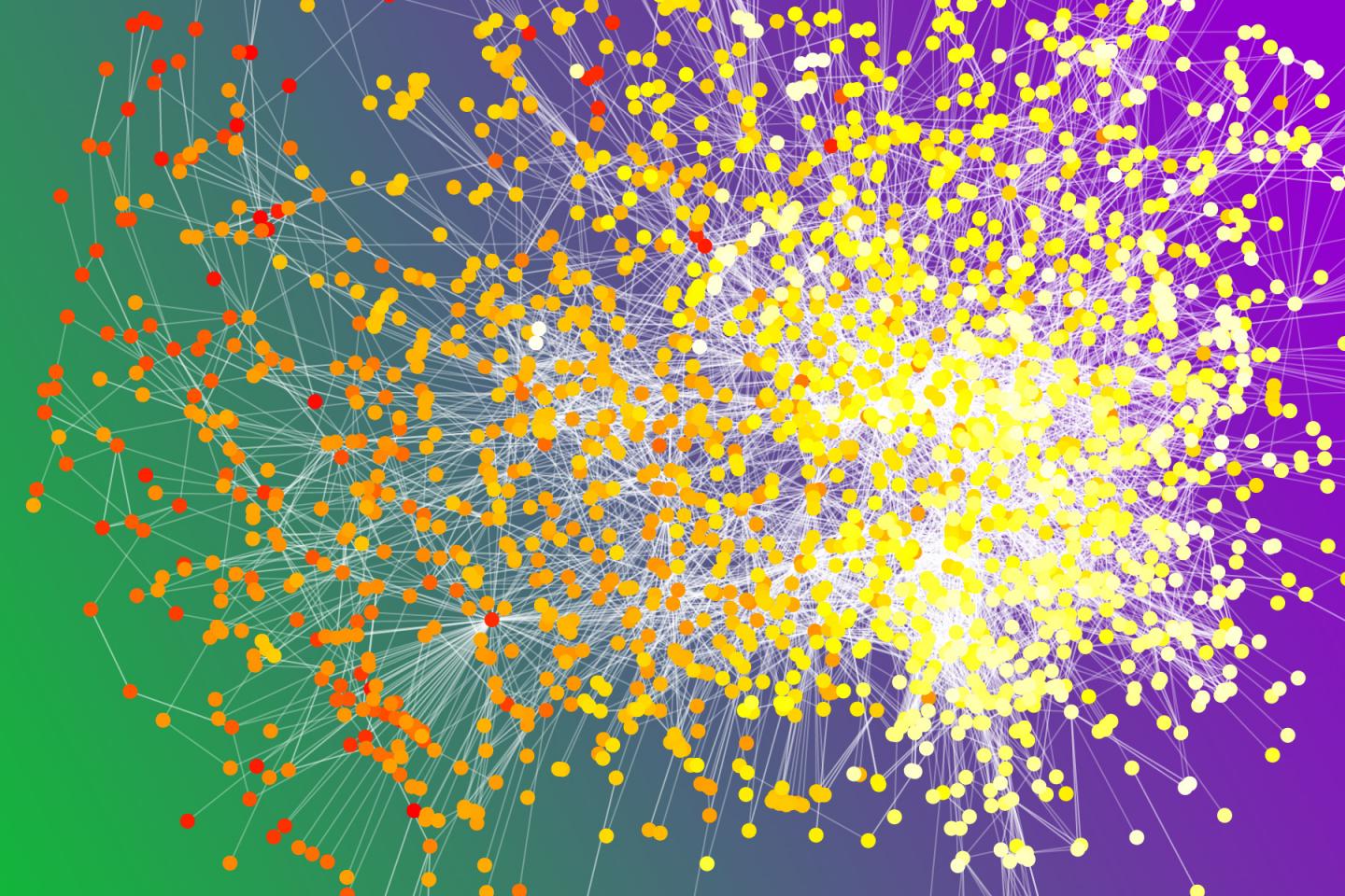 More network. Биоинформатика. Present Network.