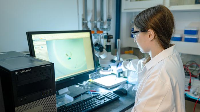 Kaeli Ficco examines a seedling under the microscope