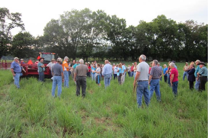 Dr. Patrick Keyser, Director of UT Center for Native Grasslands Management