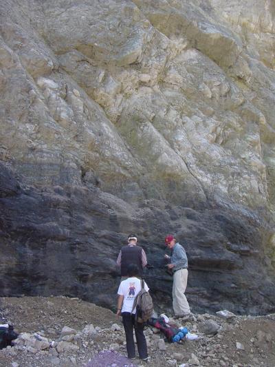 Fossils in the Doushantuo Formation