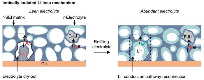 Revealing ionically isolated Li loss in practical rechargeable Li metal pouch cells