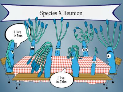 Cartoon of Gut Microbe Strains [IMAGE] | EurekAlert! Science News Releases