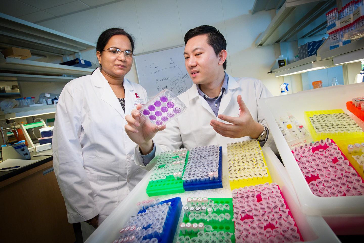 Thirumala-Devi Kanneganti, Ph.D., and Si Ming Man, Ph.D., St. Jude Children's Research Hospital