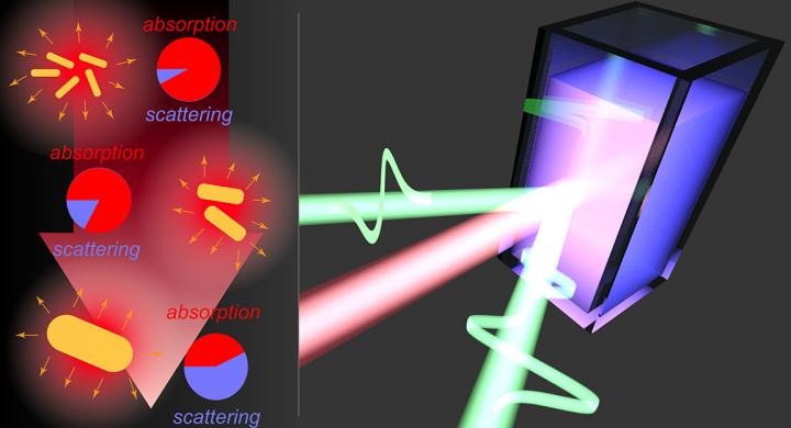 Sensing the Size-Dependent Light-To-Heat Conversion Efficiency of Nanoparticles