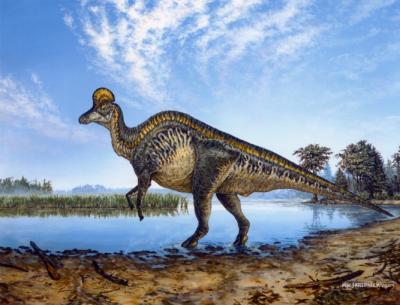 Corythosaurus