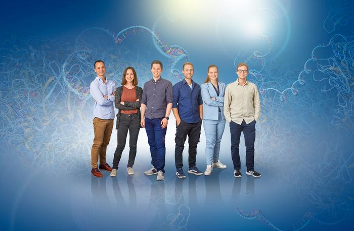 The HIRI researchers involved in the study; from left: Alexander Gabel, Nora Schmidt, Mathias Munschauer, Jens Aydin, Sabina Ganskih, and Sebastian Zielinski