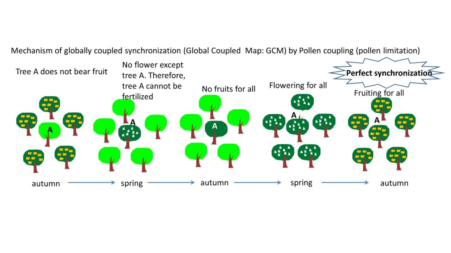 Pollen Coupling