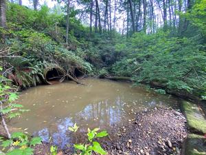 Chuckanut Creek Culvert