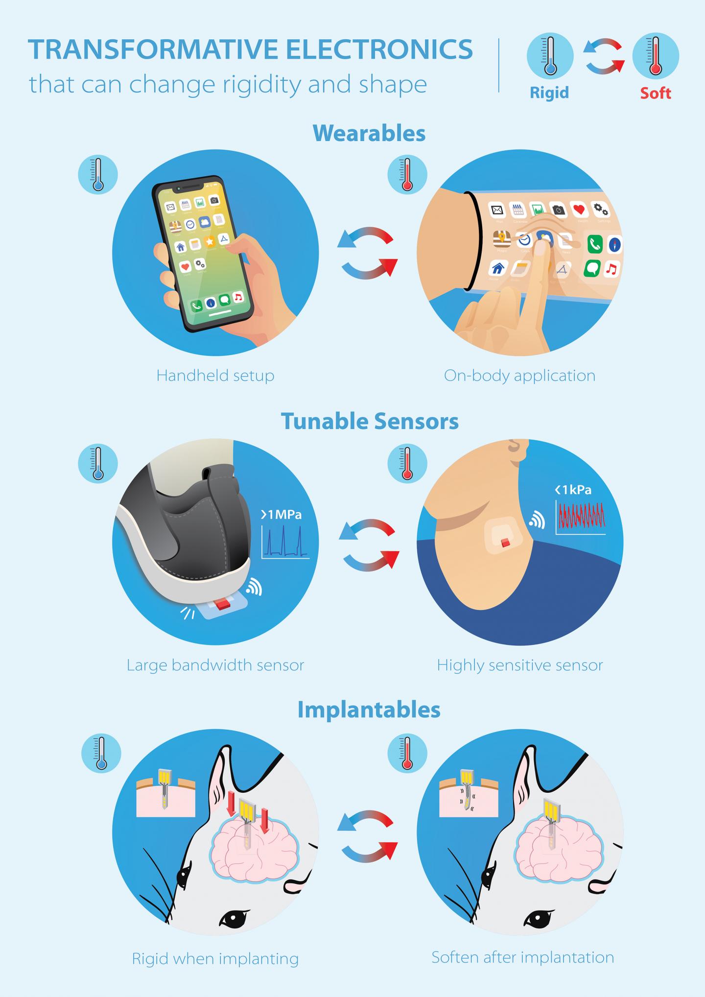 Building Benefits of Hard and Soft Electronics Into Single Device (9 of 13)