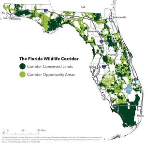 The Florida Wildlife Corridor