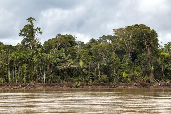 Madidi National Park Bolivian Amazon
