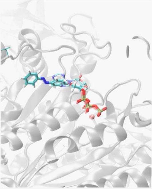 Myosin Cartoon