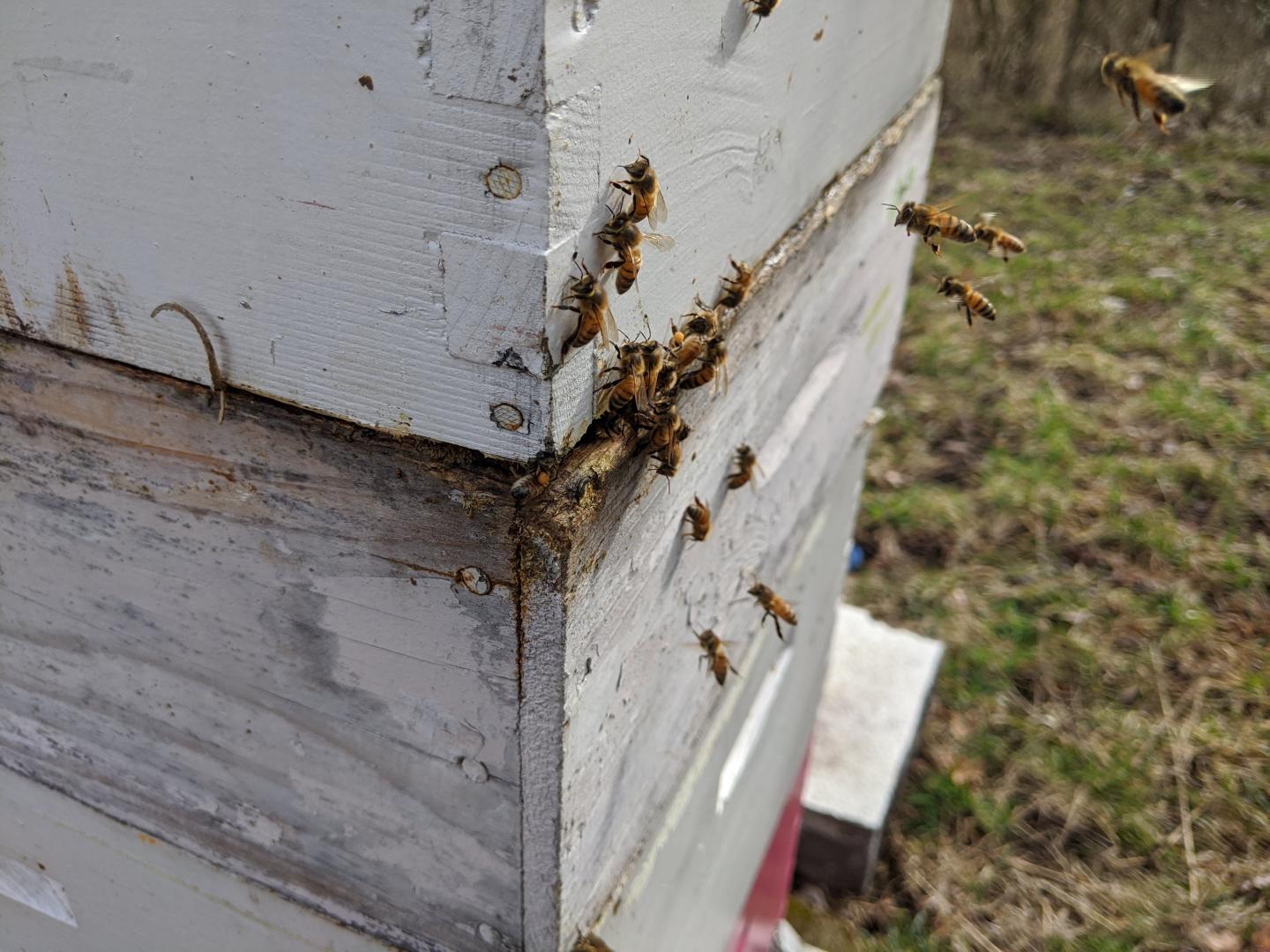 Are you who you say you are?