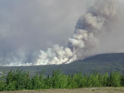 Erickson Creek Fire