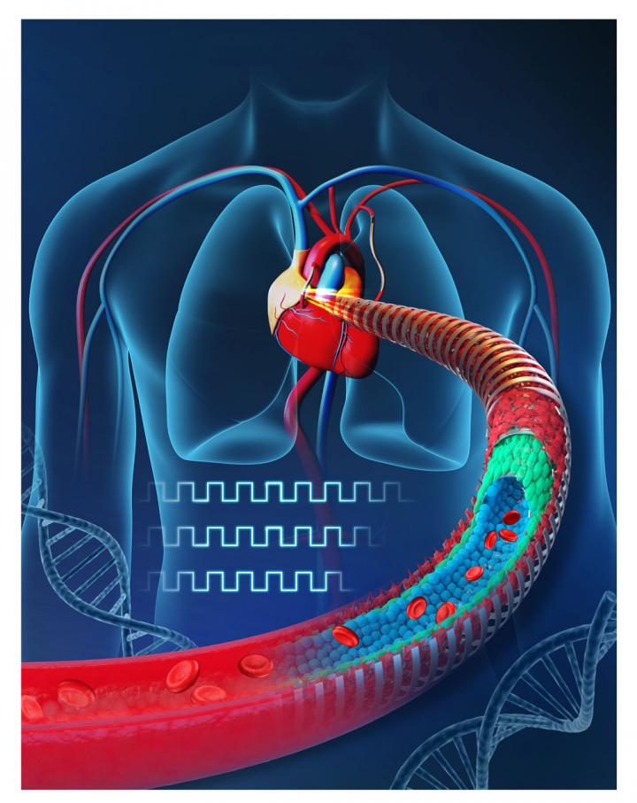Electronic Blood Vessel