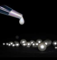 Neutrons -- Lighting up Liquid Crystals