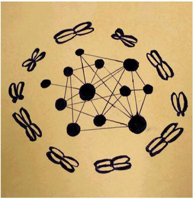 A Systems Biology Perspective on Molecular Cytogenetics