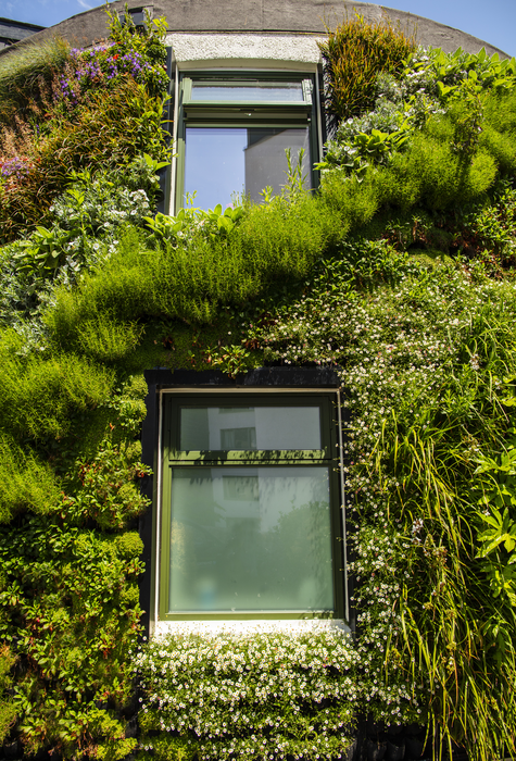 University of Plymouth living wall