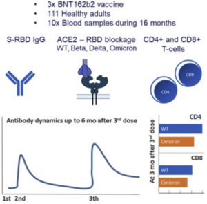 Graphical abstract of the study.