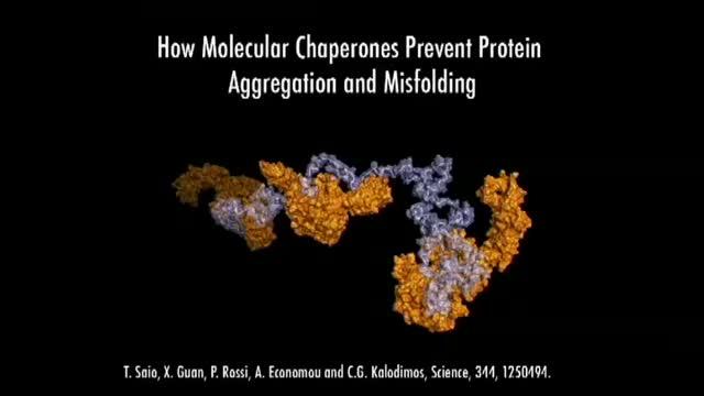 Zooming in on a Molecular Chaperone