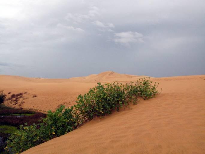 Photos from the Expeditions Are from the Private Collection of Victor Bulgakov (3 of 3)