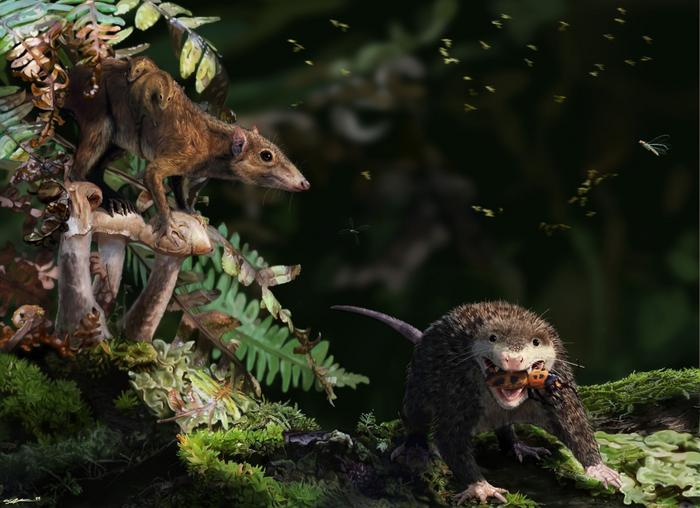 Life reconstruction of two coexisting species from the Late Jurassic period in Portugal, showing aspects of their life history