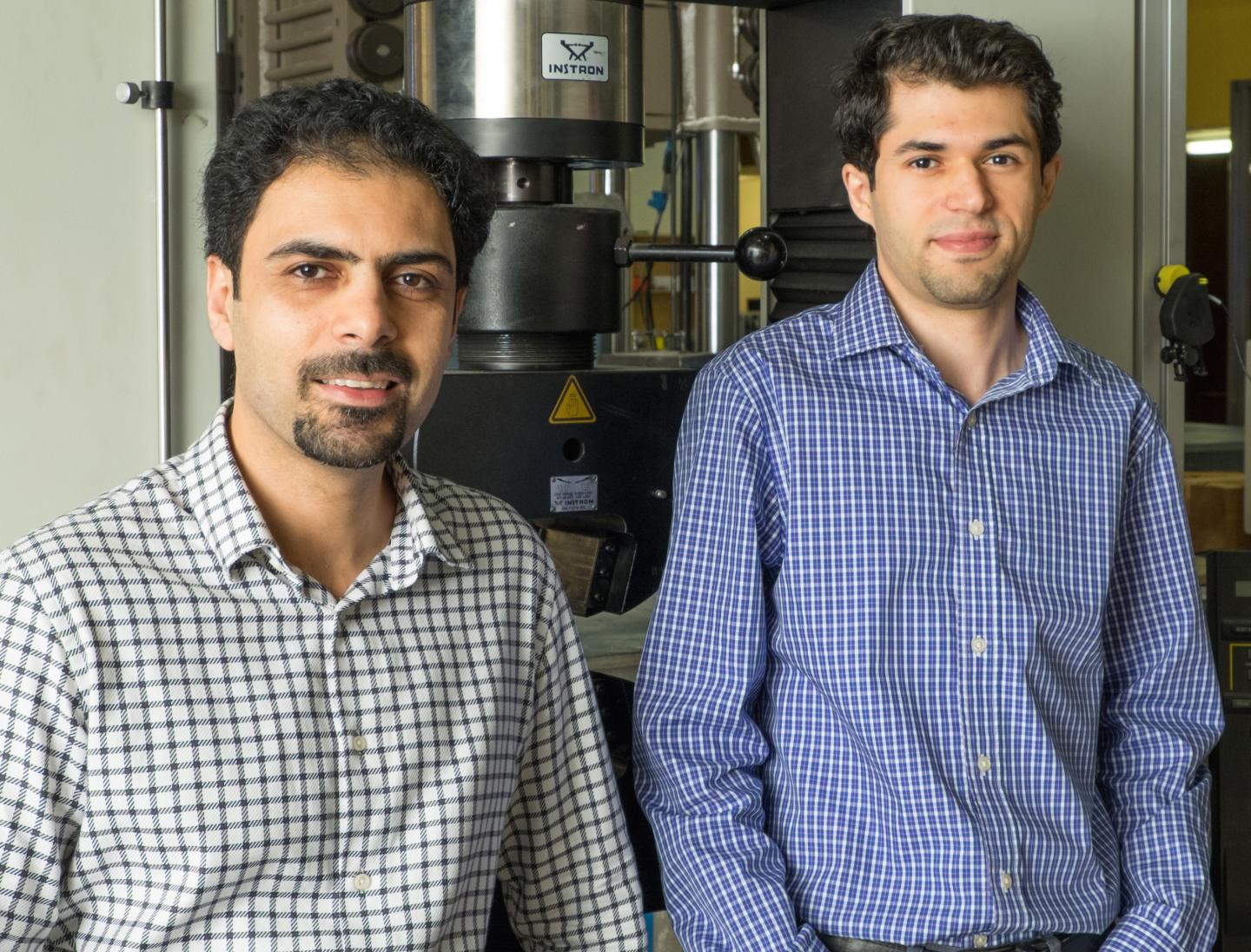 Rouzbeh Shahsavari and Navid Sakhavand, Rice University