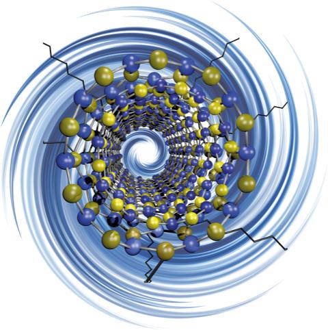 BoronNnitride Nanotubes